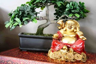 Good luck and prosperity in the house Feng Shui