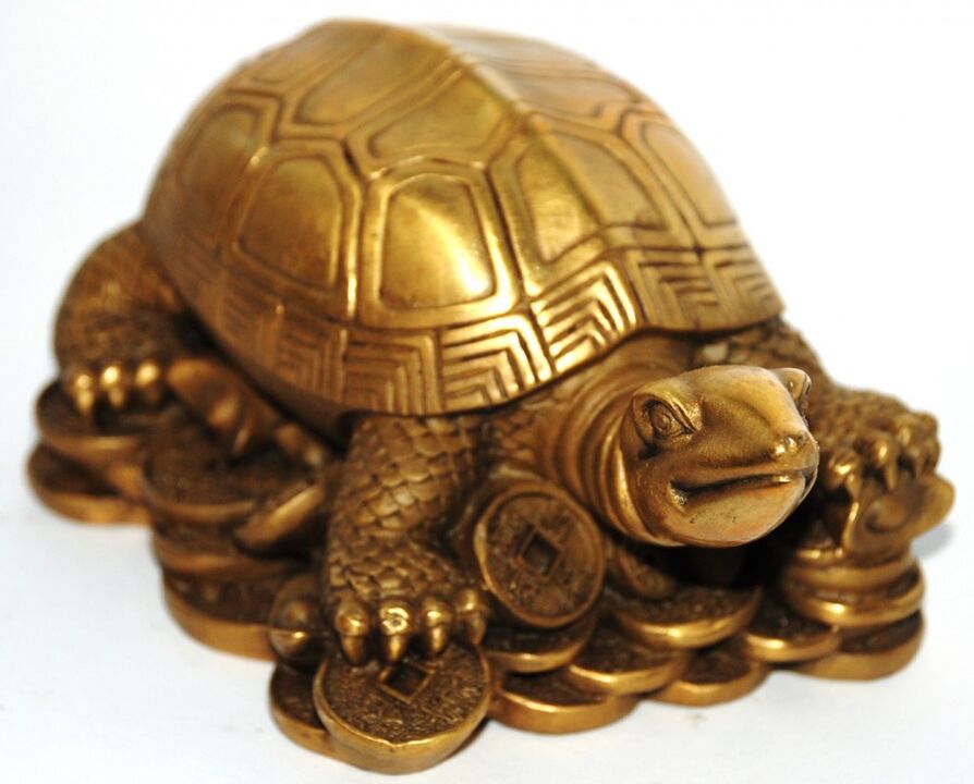 The magic of wealth and success tortoise