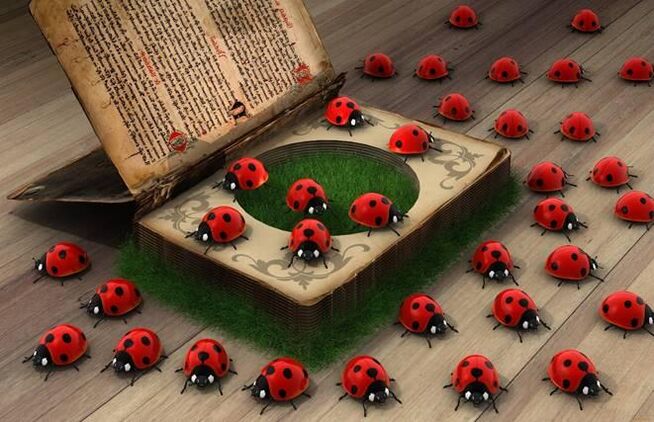 Ladybug - a symbol of divine help and protection
