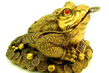 Money Magic Toad