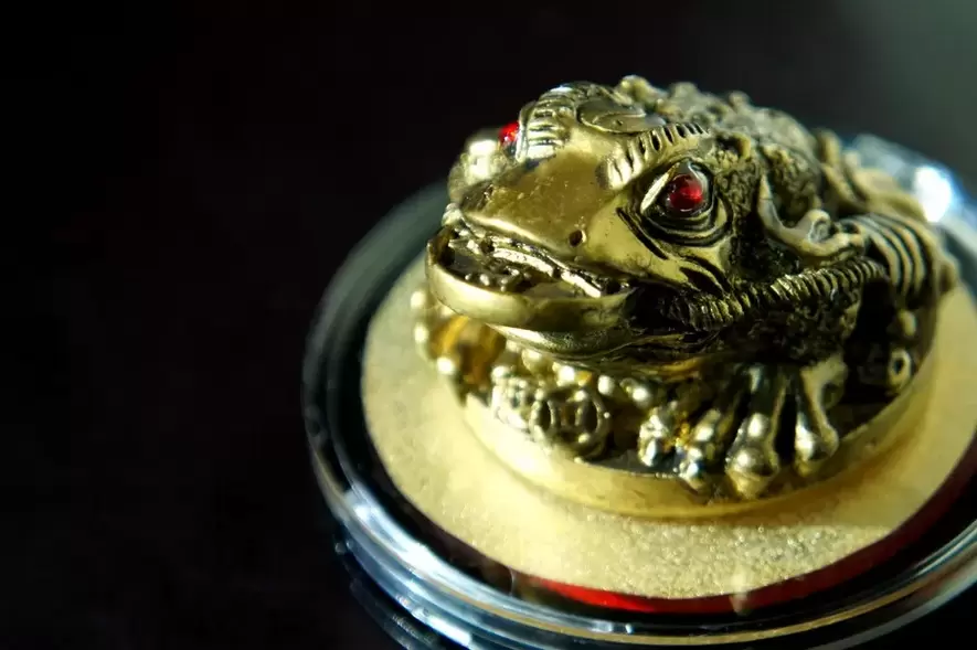 good luck amulet - three-legged frog